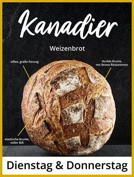 Der Kanadier von Brotsucht. Ein Weizenbrot. Der Allrounder, ideal für Sandwich, zu Suppen, Eintöpfe. Schmeckt auch toll getoastet.